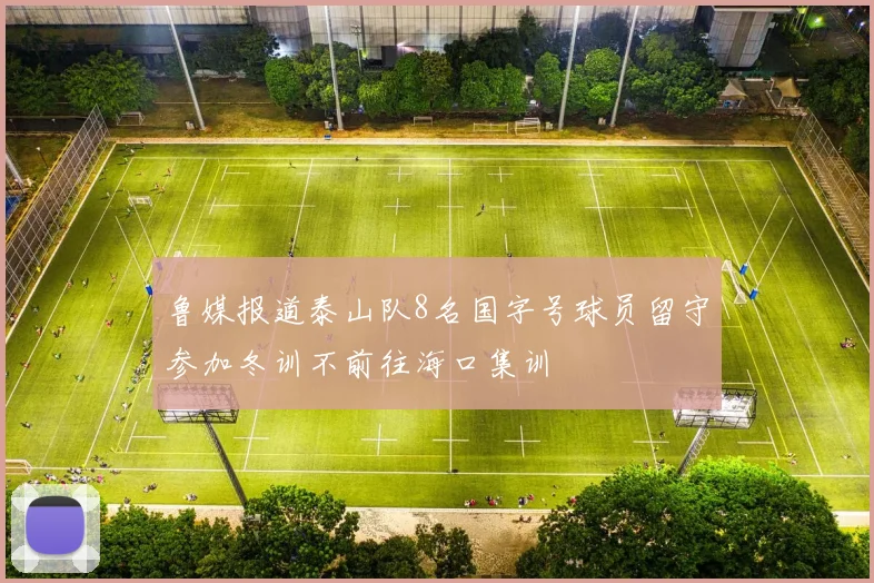 鲁媒报道泰山队8名国字号球员留守参加冬训不前往海口集训