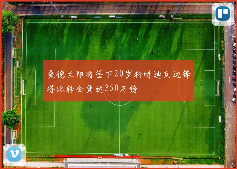 桑德兰即将签下20岁科特迪瓦边锋塔比转会费达350万镑