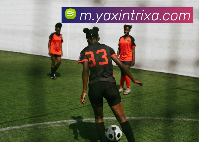 多媒体互动体验