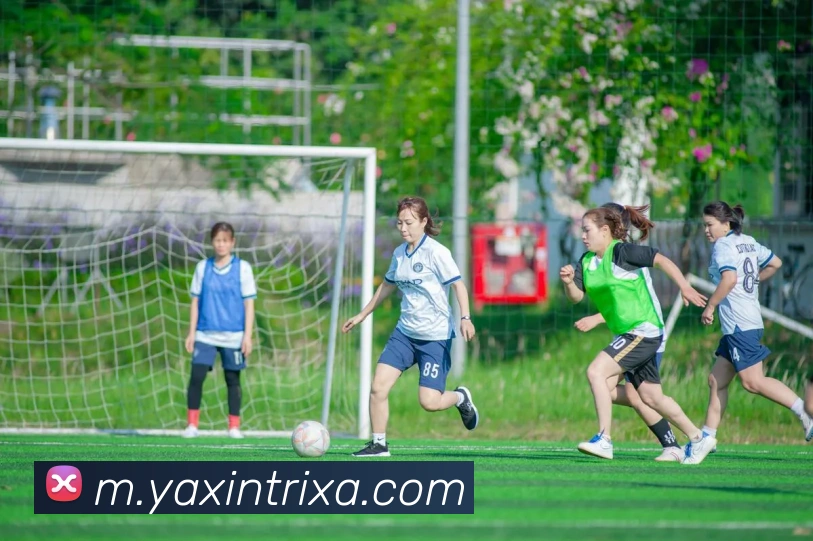 亚新体育APP 体育赛事宣传图